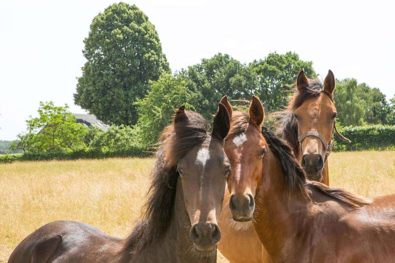 Melderslo B&B De Nieuwenhof 'De Voorkamer' מראה חיצוני תמונה